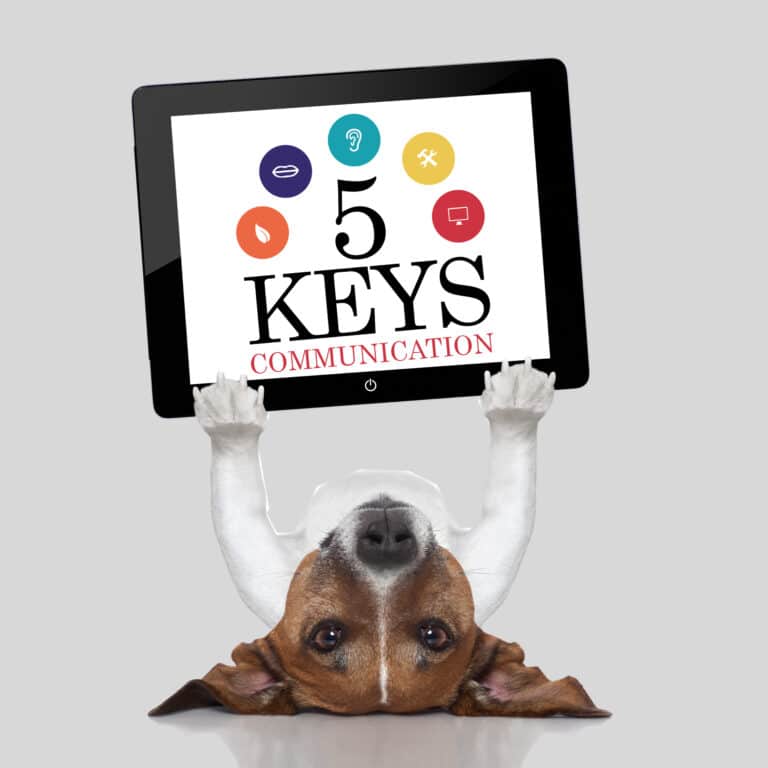 5 Keys - Services page